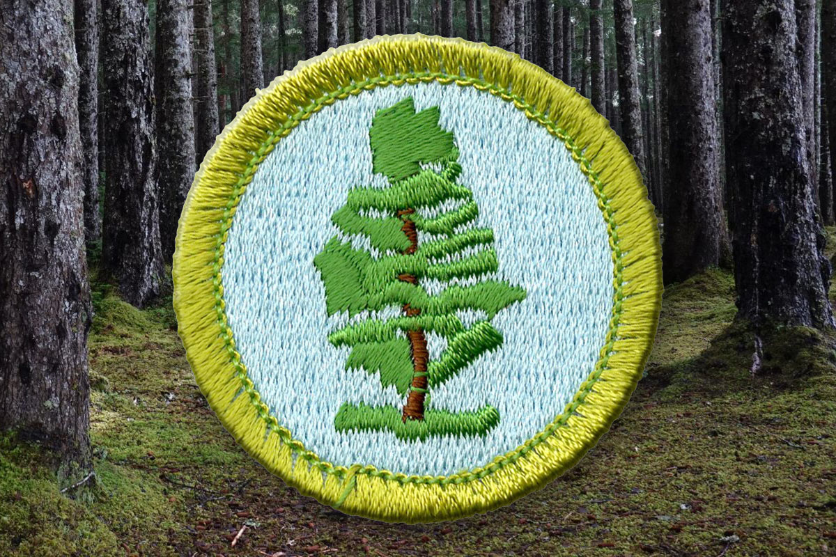 scout forestry merit badge