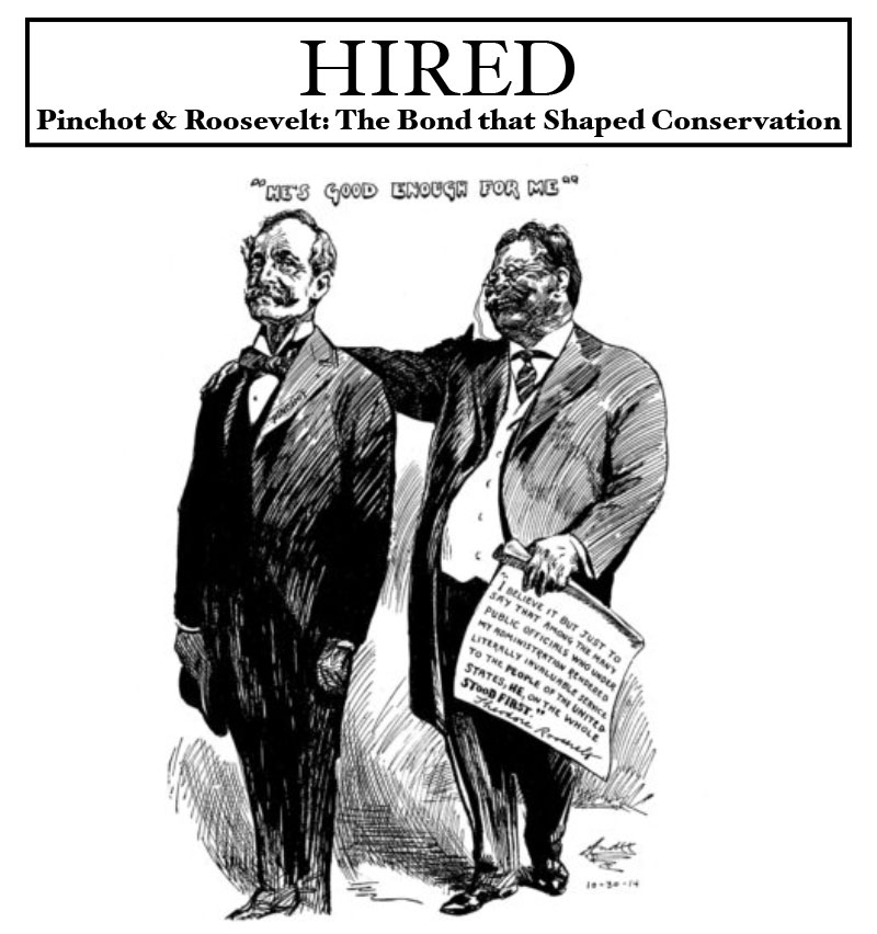 Hired Poster